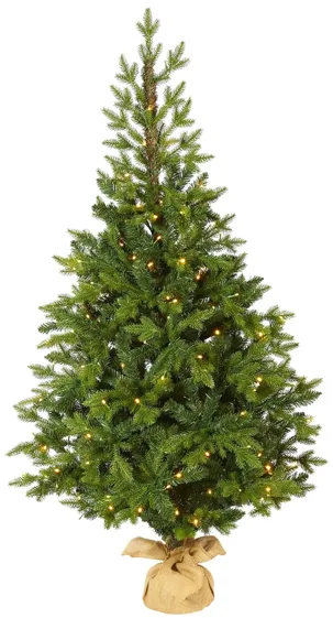 5ft. Pre-Lit Fraser Fir Artificial Christmas Tree in Green by Bellanest