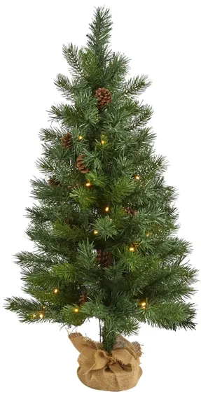 3ft. Pre-Lit Fraser Fir Artificial Christmas Tree in Green by Bellanest