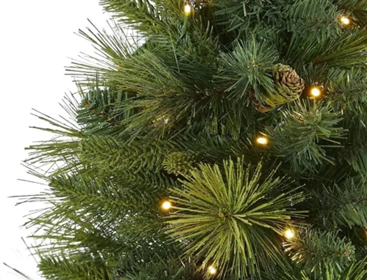 5ft. Pre-Lit North Carolina Mixed Pine Artificial Christmas Tree