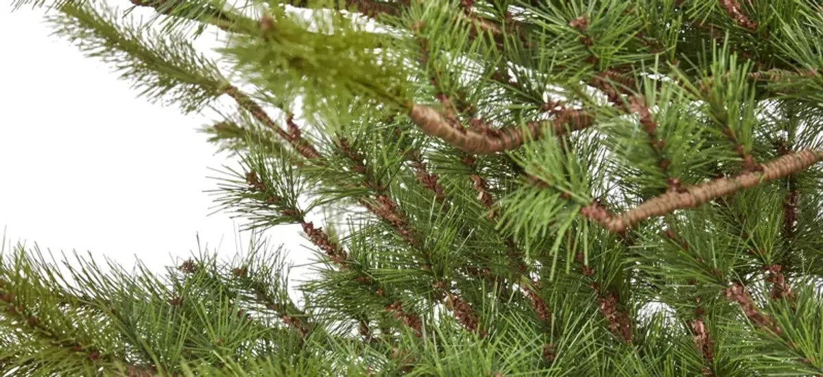 7ft. Vancouver Mountain Pine Artificial Christmas Tree