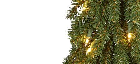 2ft. Grand Alpine Artificial Christmas Tree on Natural Trunk in Green by Bellanest