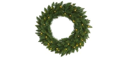 24in. Pre-Lit Green Pine Artificial Christmas Wreath in Green by Bellanest