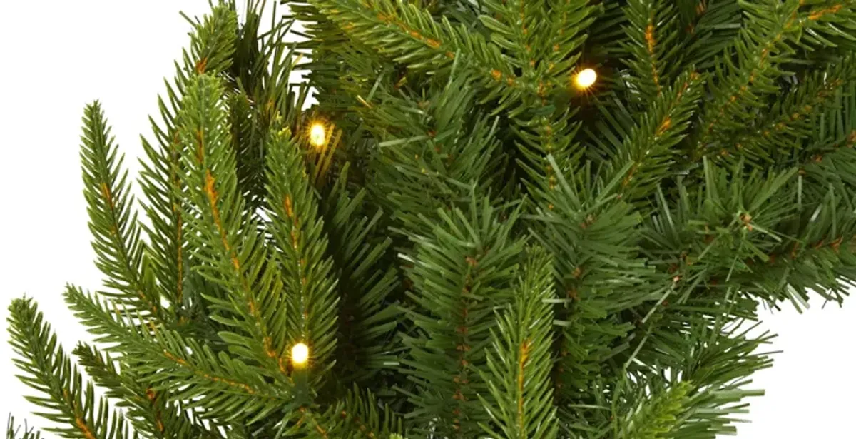 24in. Pre-Lit Long Pine Artificial Christmas Wreath