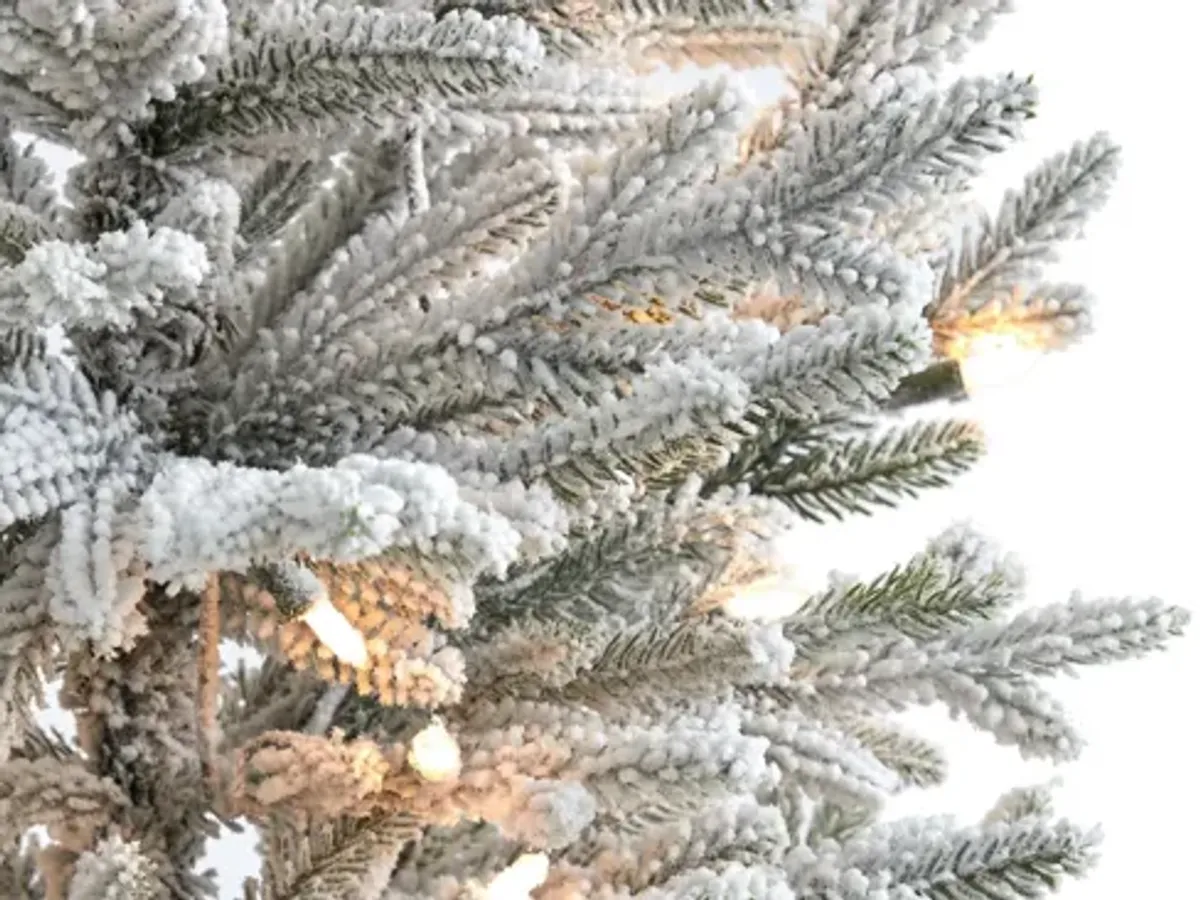 3ft. Pre-Lit Flocked Fraser Fir Artificial Christmas Tree