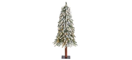 4ft. Pre-Lit Flocked Grand Alpine Artificial Christmas Tree in White/Green by Bellanest