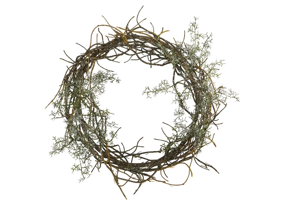 17in. Frosted Twig Wreath in Green by Bellanest