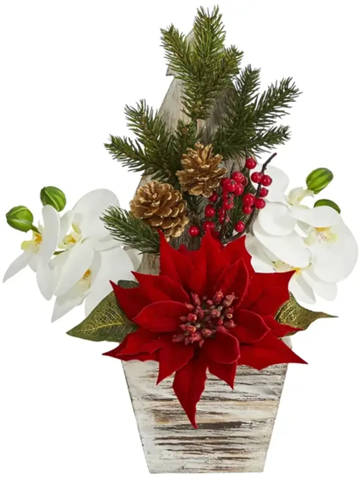 15in. Poinsettia and Orchid Arrangement