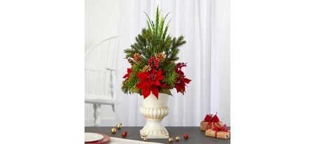 28in. Poinsettia, Grass and Succulent Arrangement in Red by Bellanest