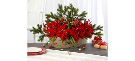 25in. Poinsettia, Succulent and Pine Arrangement in Red by Bellanest