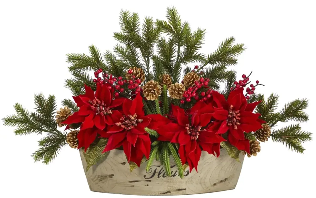 25in. Poinsettia, Succulent and Pine Arrangement