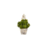 15in. Succulent Artificial Plant in Green by Bellanest