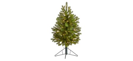 3ft. Pre-Lit Cambridge Spruce Flat Back Artificial Christmas Tree in Green by Bellanest