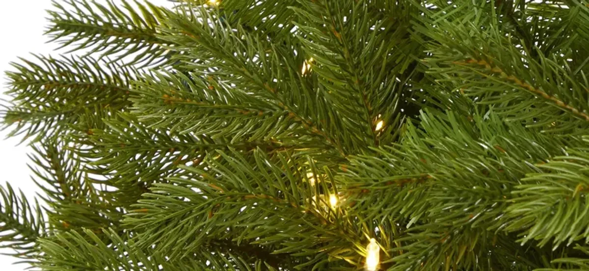 6ft. Pre-Lit Cambridge Spruce Flat Back Artificial Christmas Tree