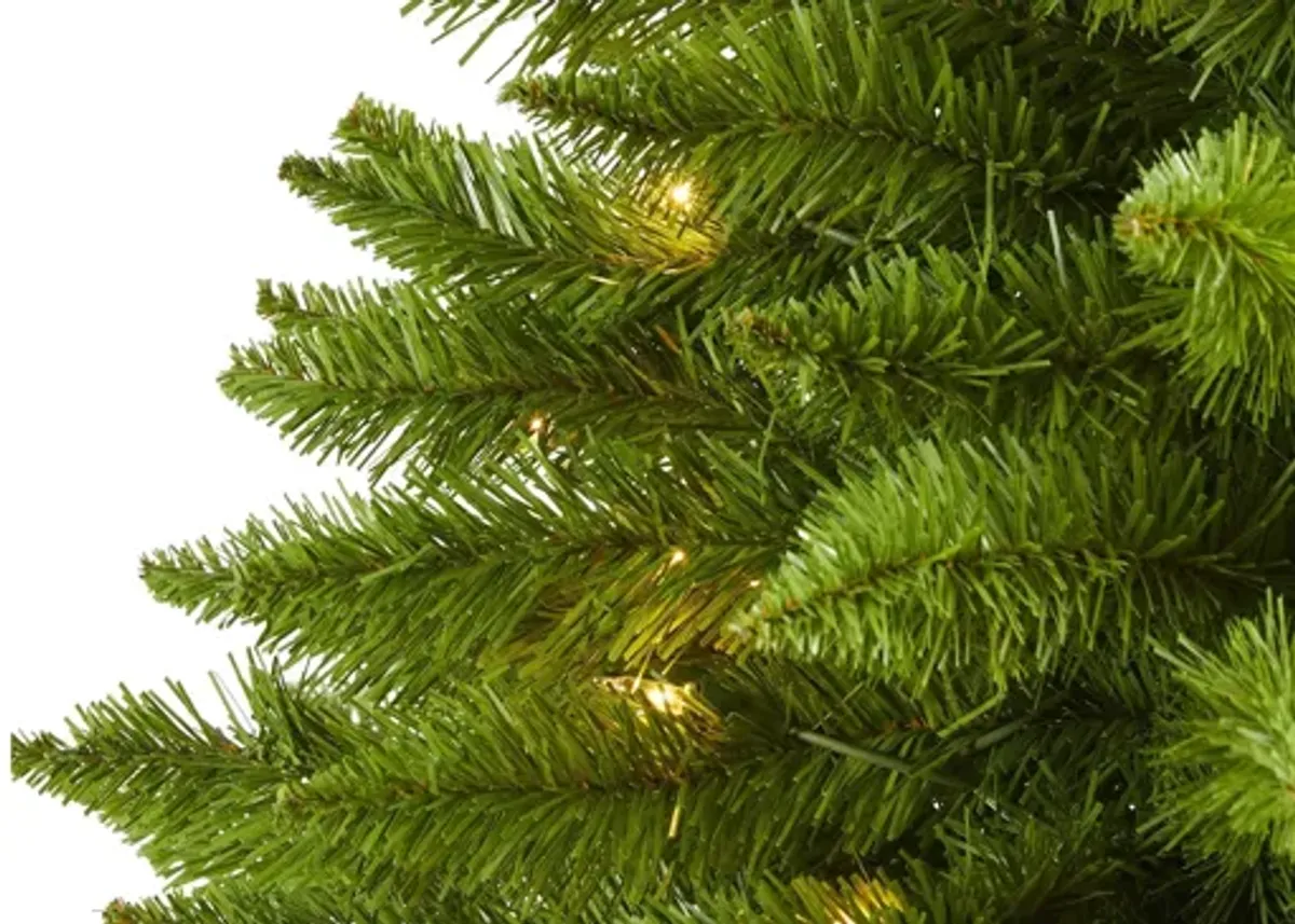 3ft. Pre-Lit Providence Pine Artificial Christmas Tree