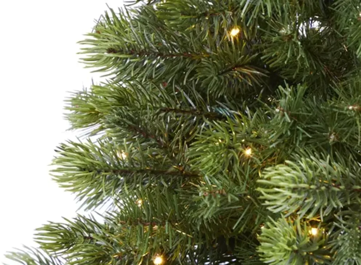 6.5ft. Pre-Lit Slim Colorado Mountain Spruce Artificial Christmas Tree