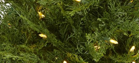 5ft. Pre-Lit Wisconsin Fir Artificial Christmas Tree in Green by Bellanest