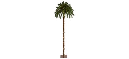 7ft. Pre-Lit Christmas Palm Artificial Tree in Green by Bellanest