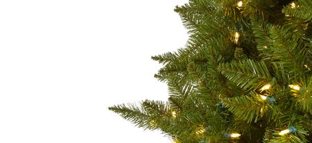 6.5ft. Pre-Lit Vermont Spruce Artificial Christmas Tree in Green by Bellanest