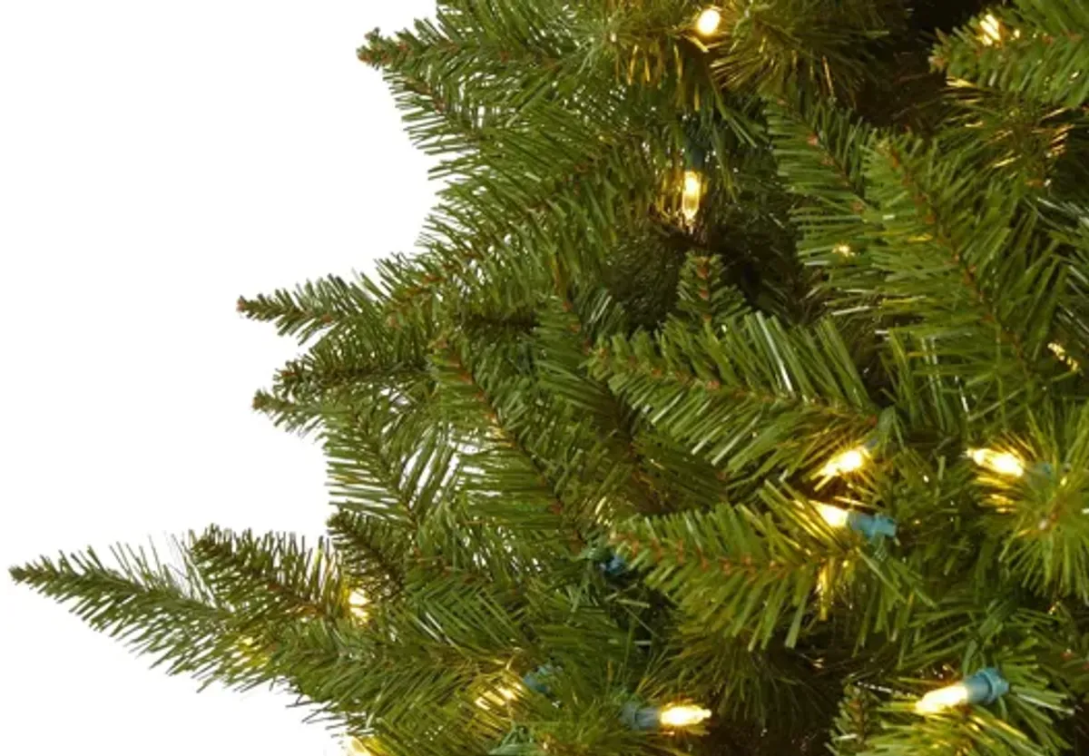 6.5ft. Pre-Lit Vermont Spruce Artificial Christmas Tree