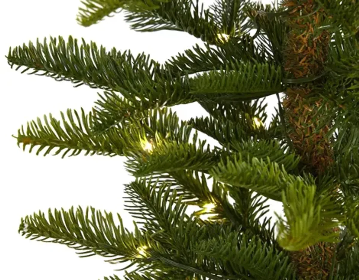 6ft. Pre-Lit Alaskan Alpine Artificial Christmas Tree