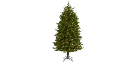 6ft. Pre-Lit Hartford Fir Artificial Christmas Tree in Green by Bellanest