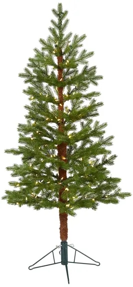 5ft. Pre-Lit Fairbanks Fir Artificial Christmas Tree in Green by Bellanest