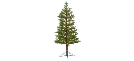 5ft. Pre-Lit Fairbanks Fir Artificial Christmas Tree in Green by Bellanest