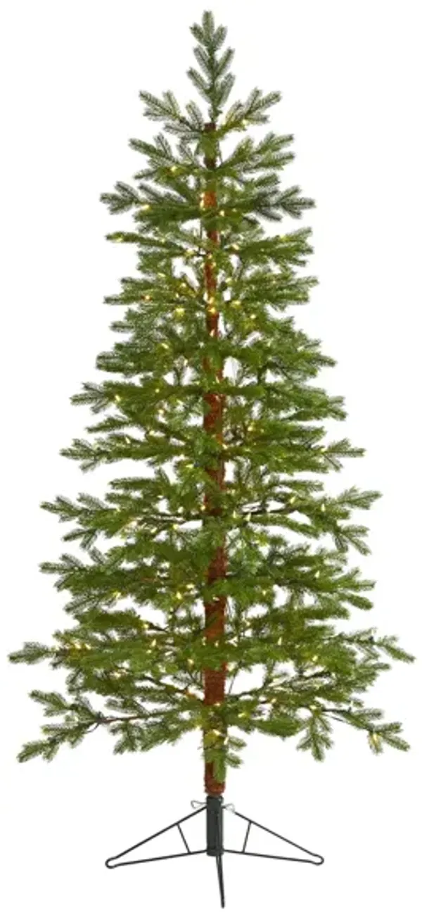 6.5ft. Pre-Lit Fairbanks Fir Artificial Christmas Tree