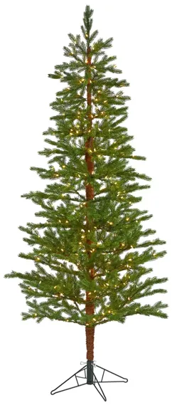 7.5ft. Pre-Lit Fairbanks Fir Artificial Christmas Tree in Green by Bellanest