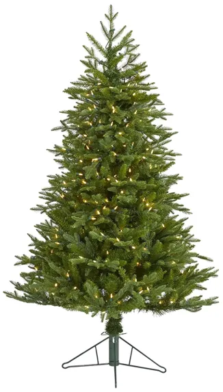 5ft. Pre-Lit Cambridge Fir Artificial Christmas Tree in Green by Bellanest