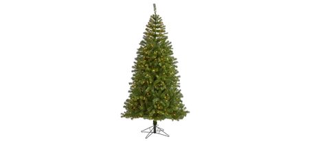 7ft. Pre-Lit Springfield Artificial Christmas Tree in Green by Bellanest