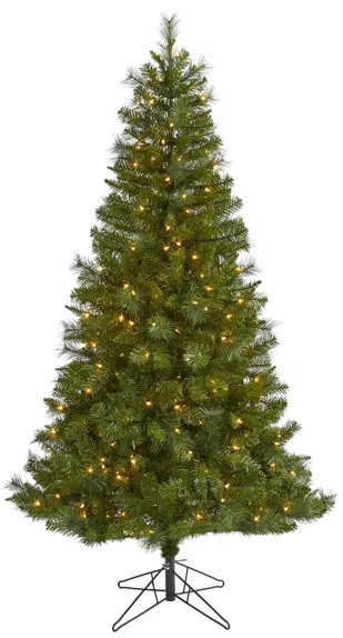 6ft. Pre-Lit Mount Hood Spruce Artificial Christmas Tree in Green by Bellanest