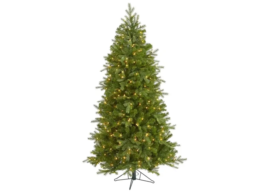 6ft. Pre-Lit Vienna Fir Artificial Christmas Tree in Green by Bellanest