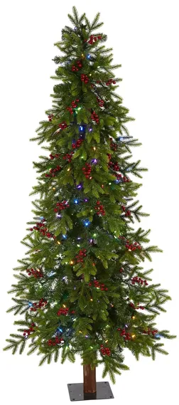 6ft. Pre-Lit Victoria Fir Artificial Christmas Tree in Green by Bellanest