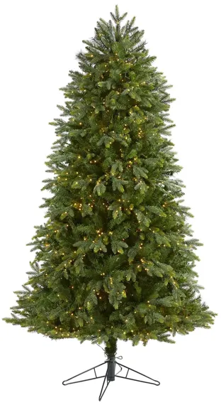 6.5ft. Pre-Lit Oregon Fir Artificial Christmas Tree in Green by Bellanest