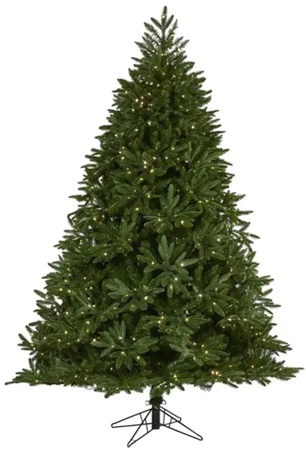 7ft. Pre-Lit Oregon Spruce Artificial Christmas Tree