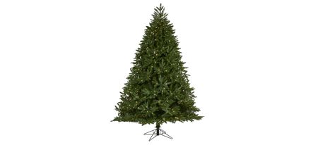 7ft. Pre-Lit Oregon Spruce Artificial Christmas Tree in Green by Bellanest