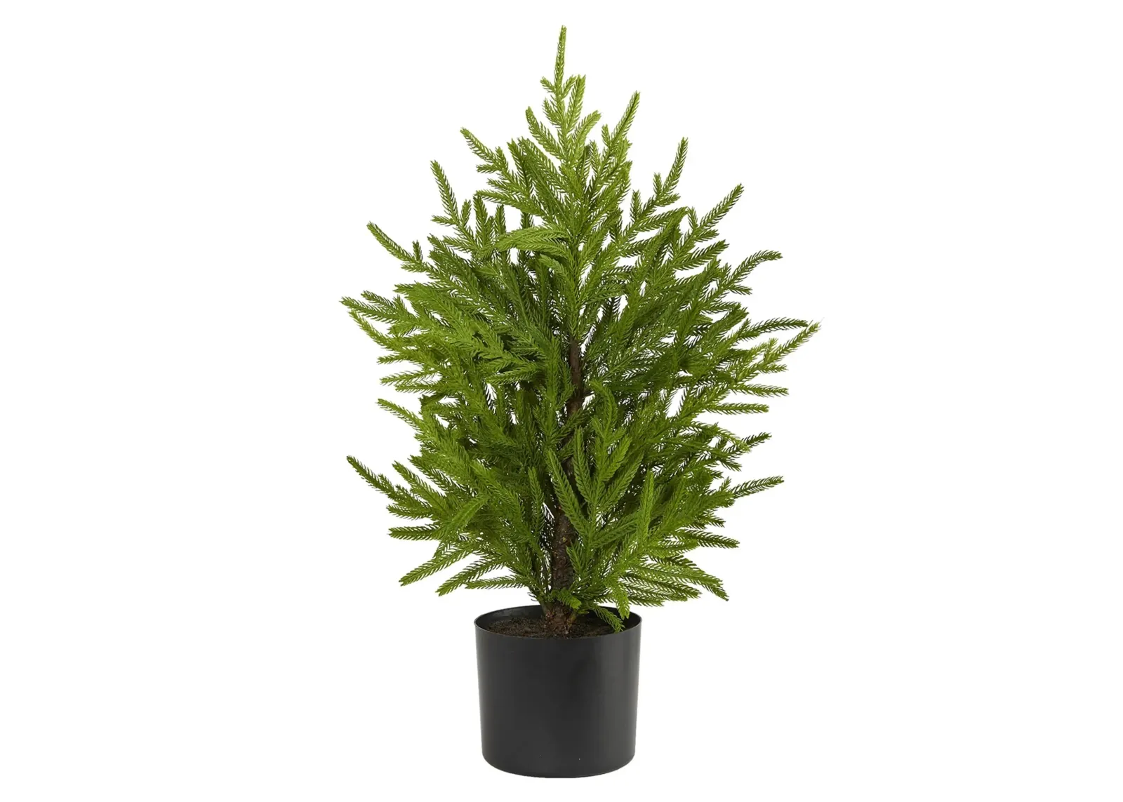 2ft. Norfolk Island Pine “Natural Look” Artificial Tree in Green by Bellanest