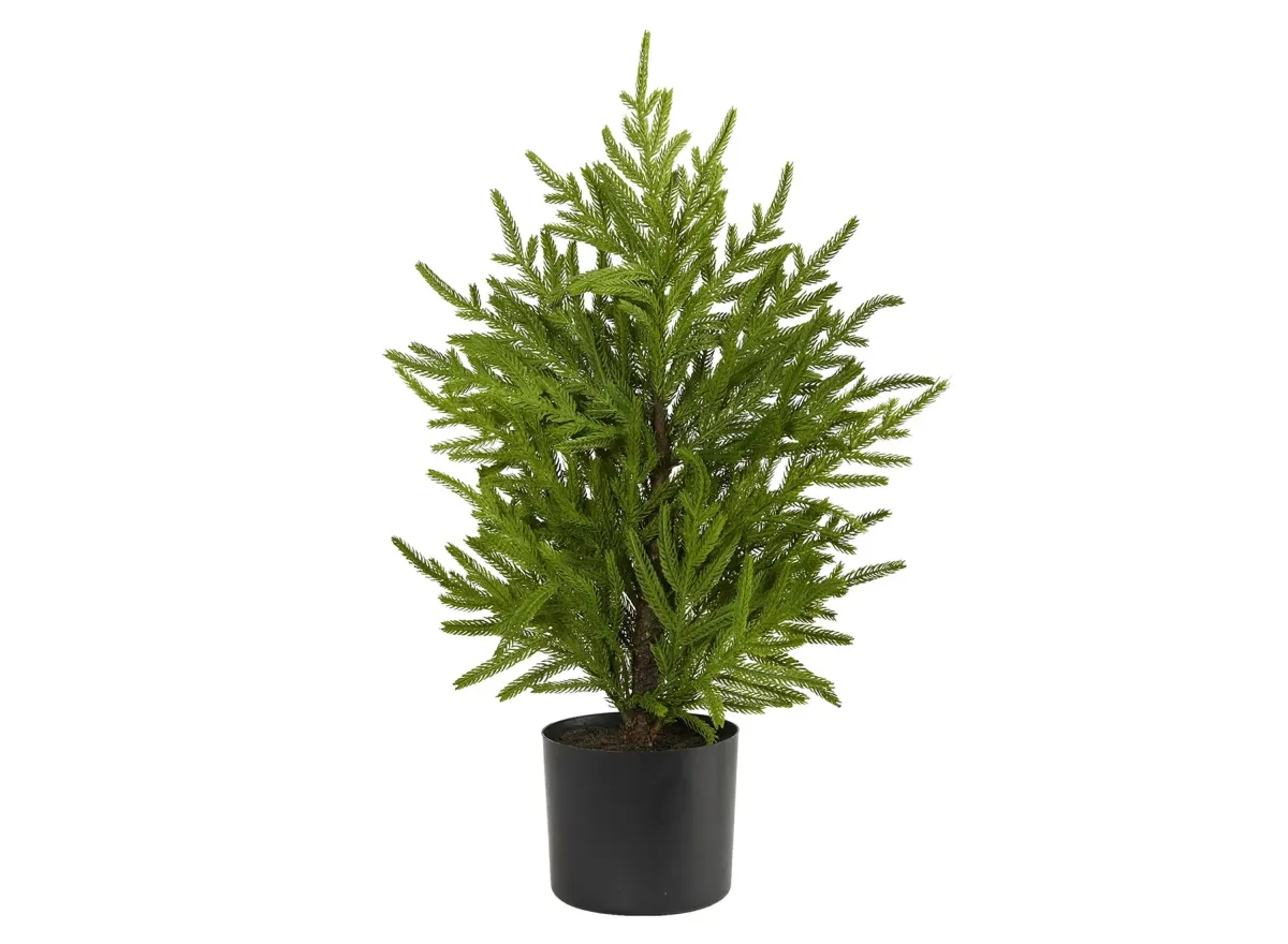 2ft. Norfolk Island Pine “Natural Look” Artificial Tree in Green by Bellanest