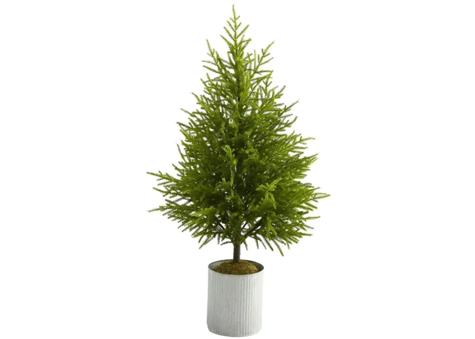 49in. Norfolk Island Pine “Natural Look” Artificial Tree in Green by Bellanest