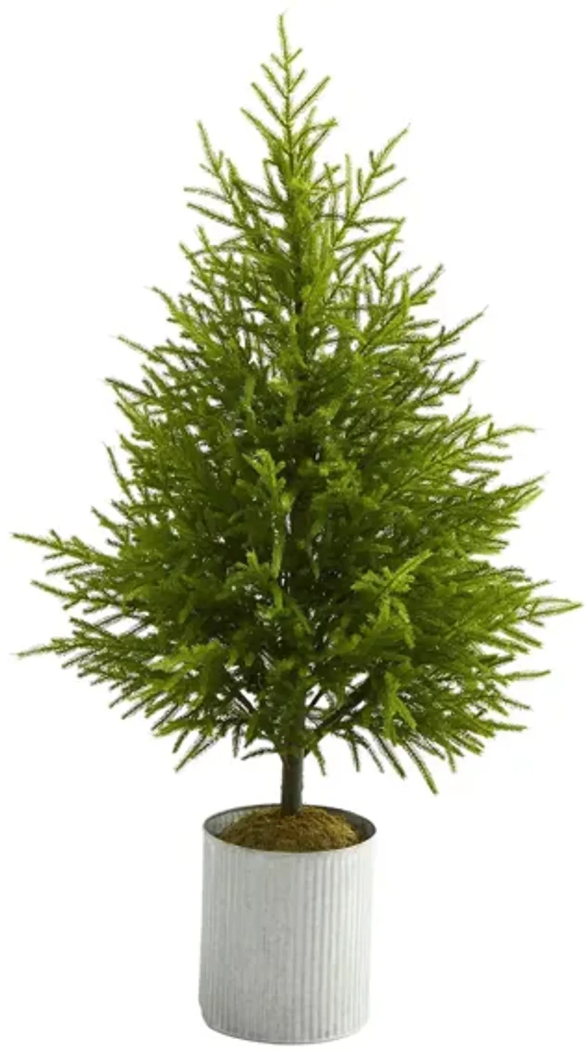 49in. Norfolk Island Pine “Natural Look” Artificial Tree in Green by Bellanest