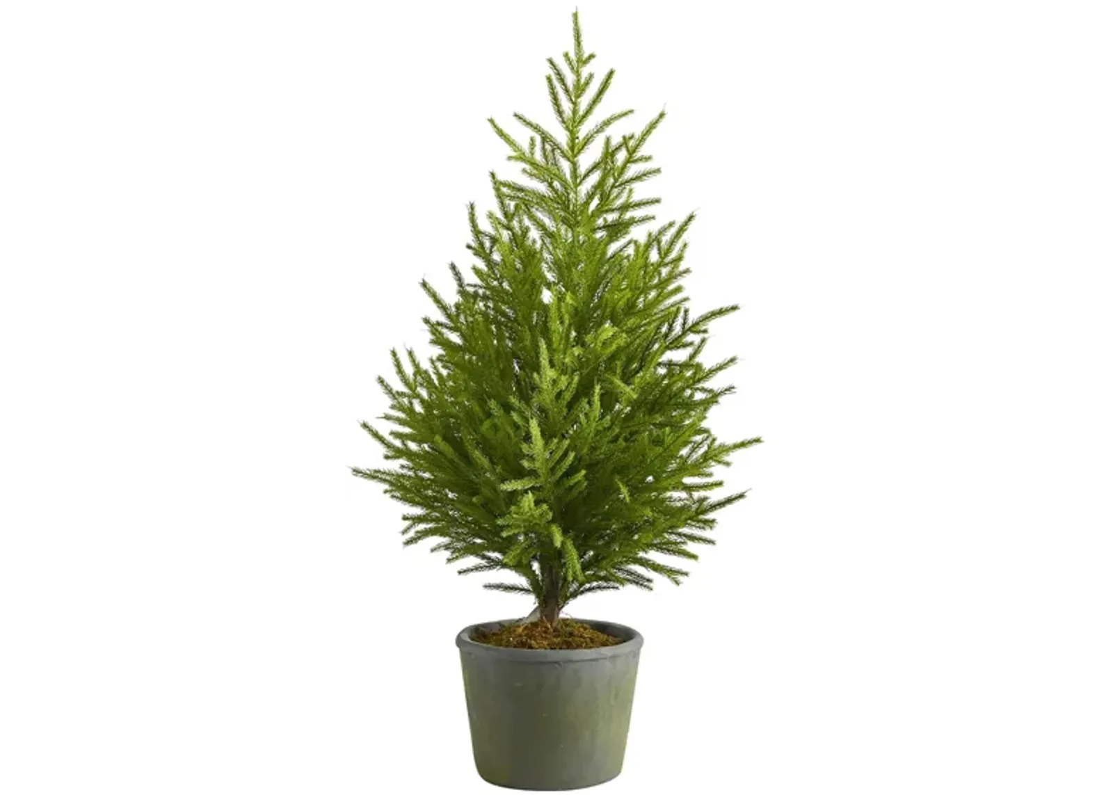 3ft. Norfolk Island Pine “Natural Look” Artificial Tree in Green by Bellanest