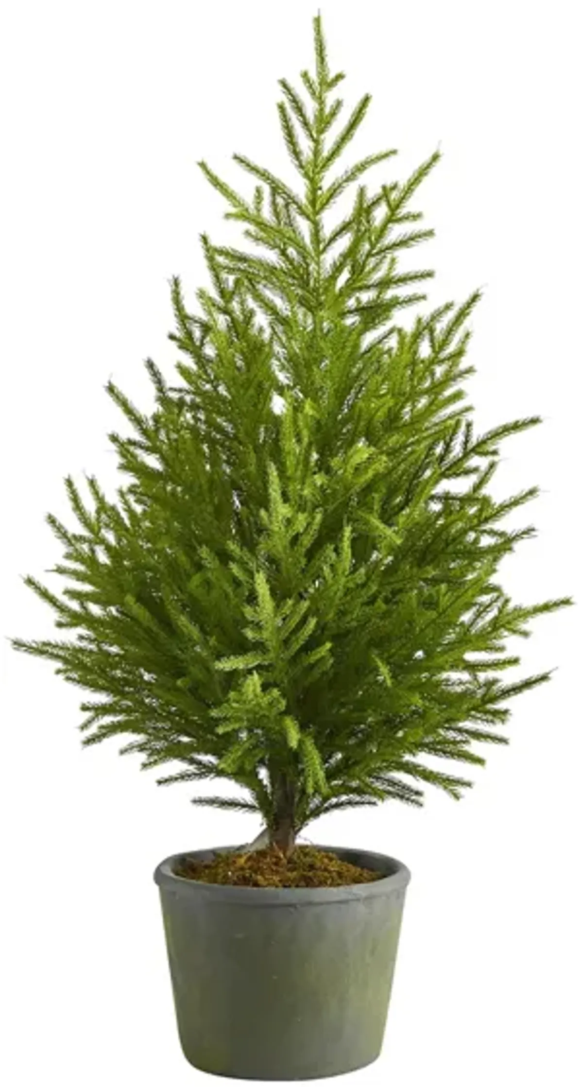 3ft. Norfolk Island Pine “Natural Look” Artificial Tree in Green by Bellanest