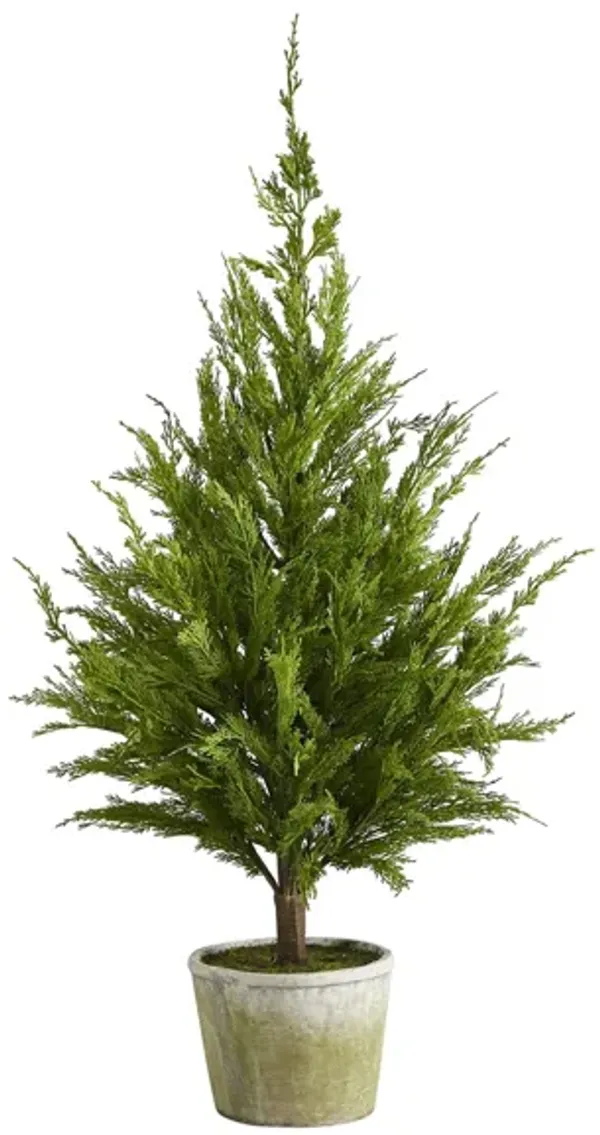 3.5ft. Cedar Pine "Natural Look" Artificial Tree