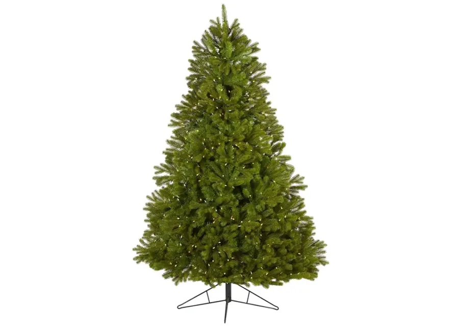 7ft. Pre-Lit Cambridge Spruce Flat Back Artificial Christmas Tree in Green by Bellanest