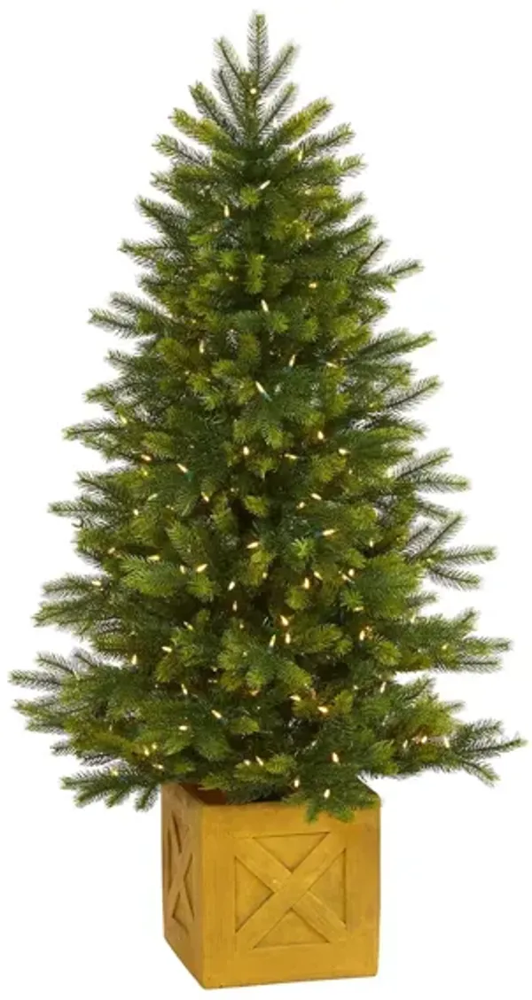 5ft. Pre-Lit Manchester Fir Artificial Christmas Tree