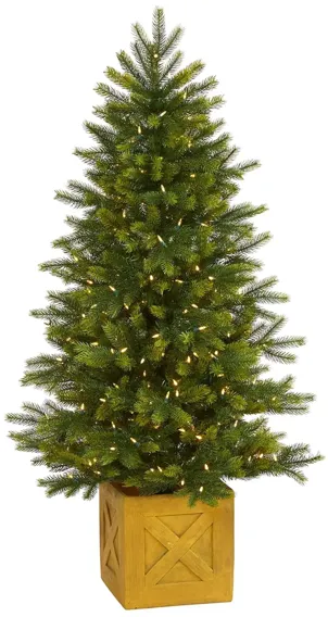 5ft. Pre-Lit Manchester Fir Artificial Christmas Tree in Green by Bellanest