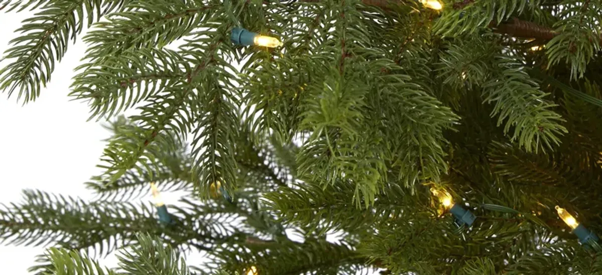 7.5ft. Pre-Lit South Carolina Spruce Artificial Christmas Tree