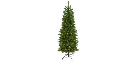 6ft. Pre-Lit Slim Green Mountain Pine Artificial Christmas Tree in Green by Bellanest
