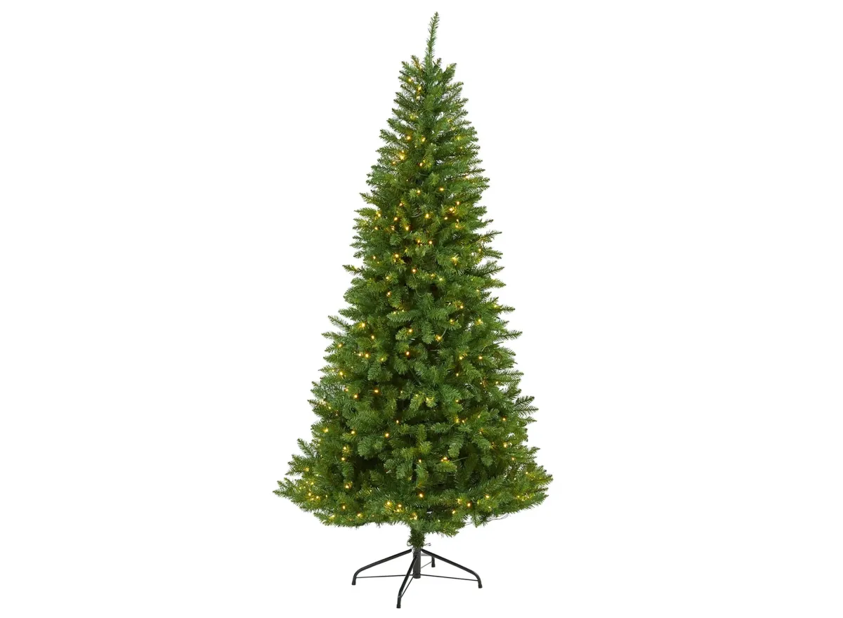 6.5ft. Pre-Lit Green Valley Fir Artificial Christmas Tree in Green by Bellanest